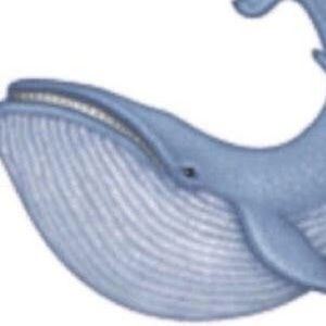 Meet your Posher, Carter